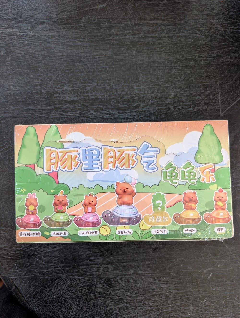 Capybara Turtle Blind Box